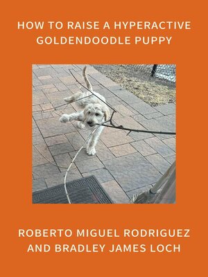 cover image of How to Raise a Hyperactive Goldendoodle Puppy